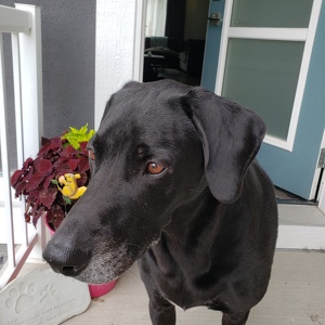 Fundraising Page: Michelle Manning